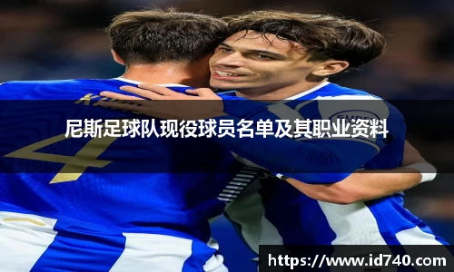 尼斯足球队现役球员名单及其职业资料